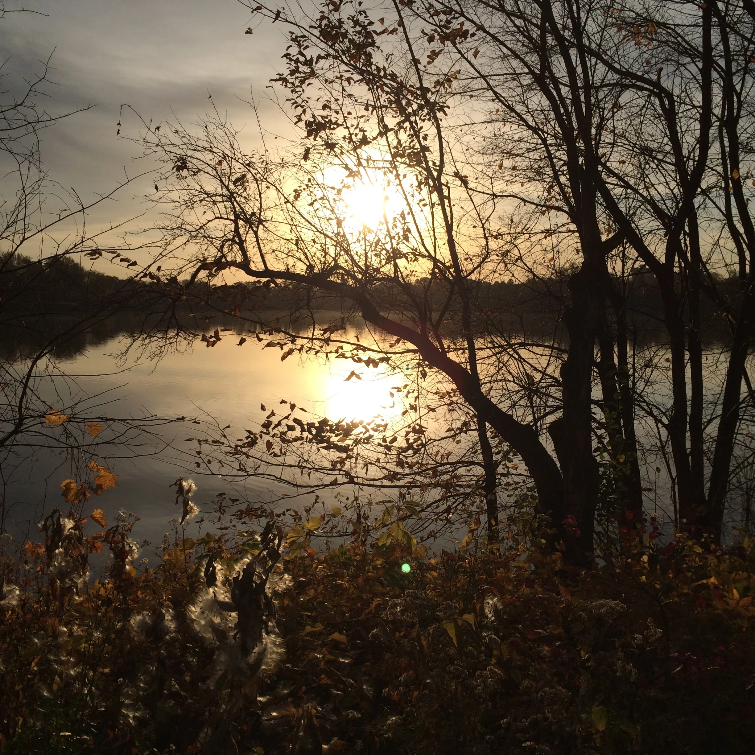 2014-10-27 08.28.22.jpg