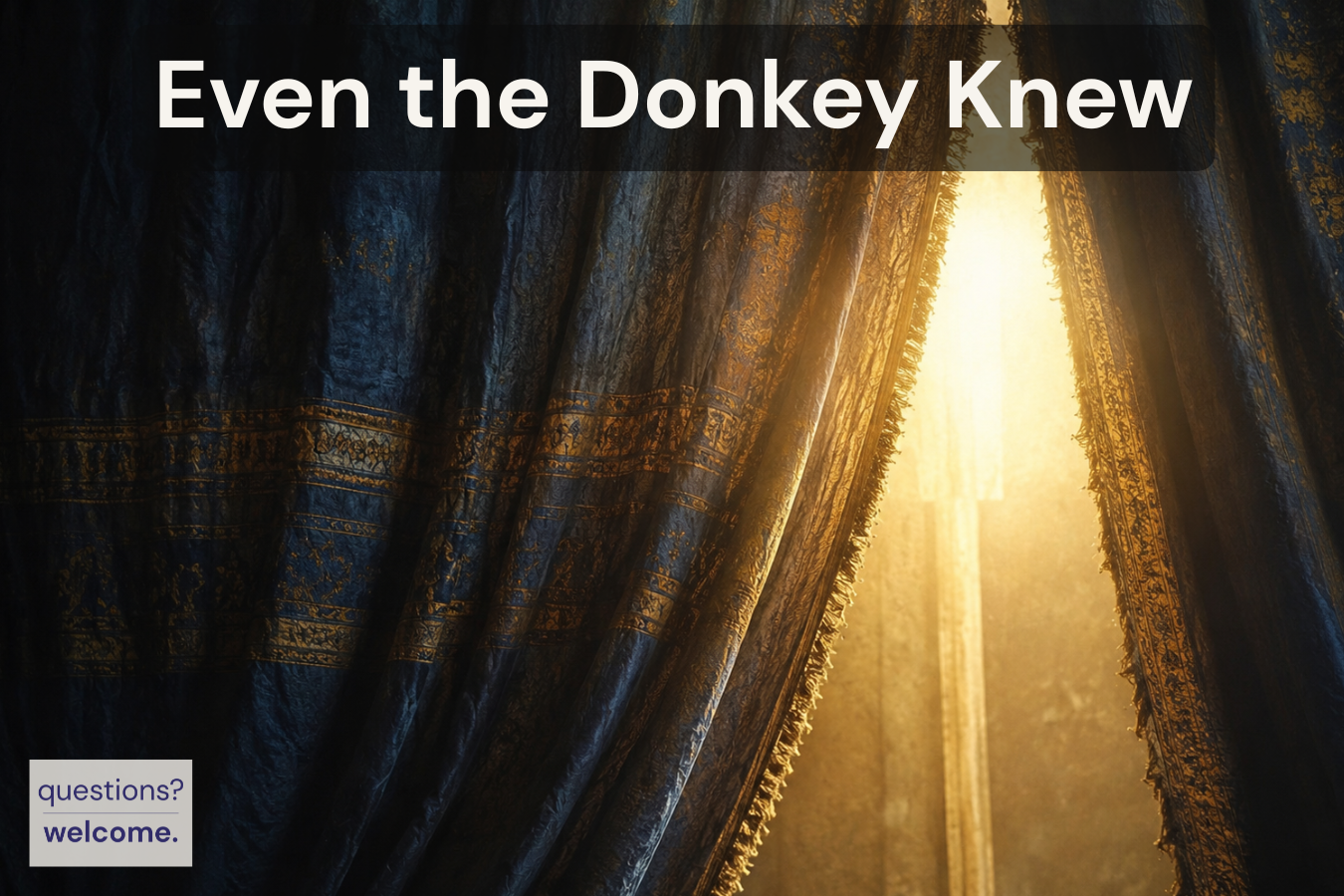 Even the Donkey Knew