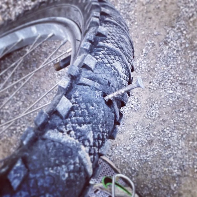 Busting Knee Caps: Contemplating Pain, Career, & Money