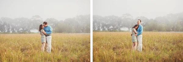 foggytrees.jpg