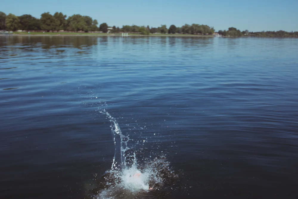 DSCF2541.jpg