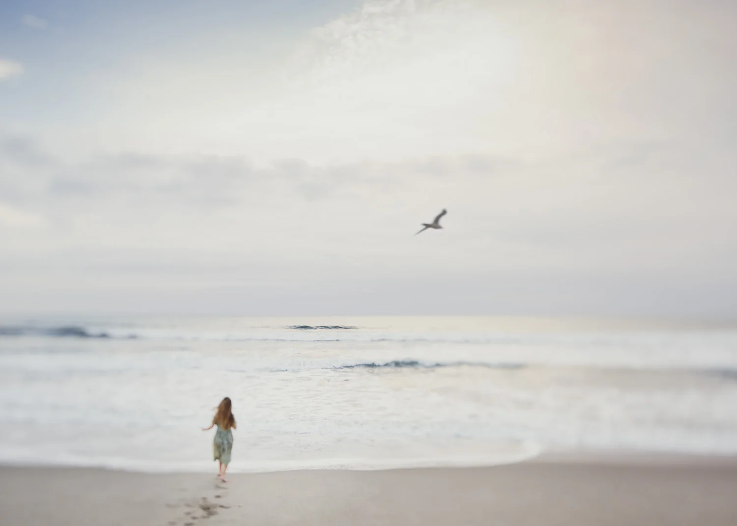 Copy of Orange County Children Photographer Leah Zawadzki