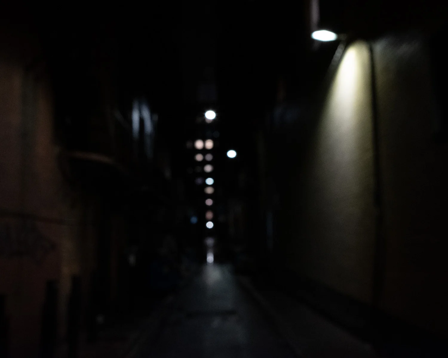 _DSF8492.jpg