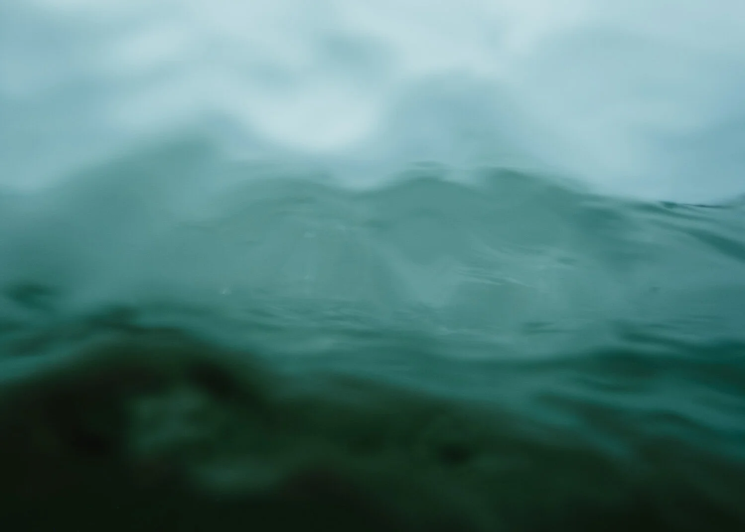 _DSF5467.jpg