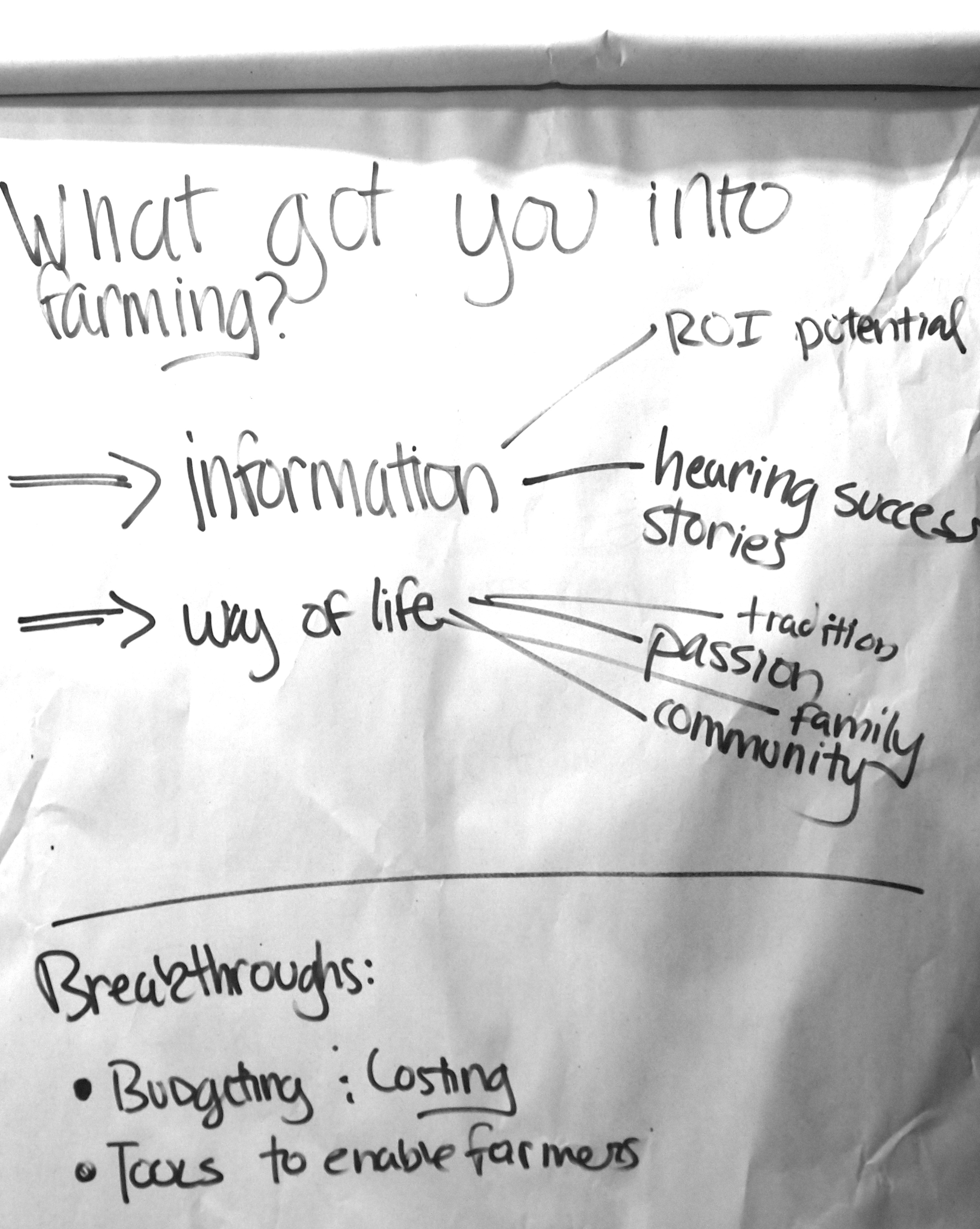 P4243618 - Version 2.JPG