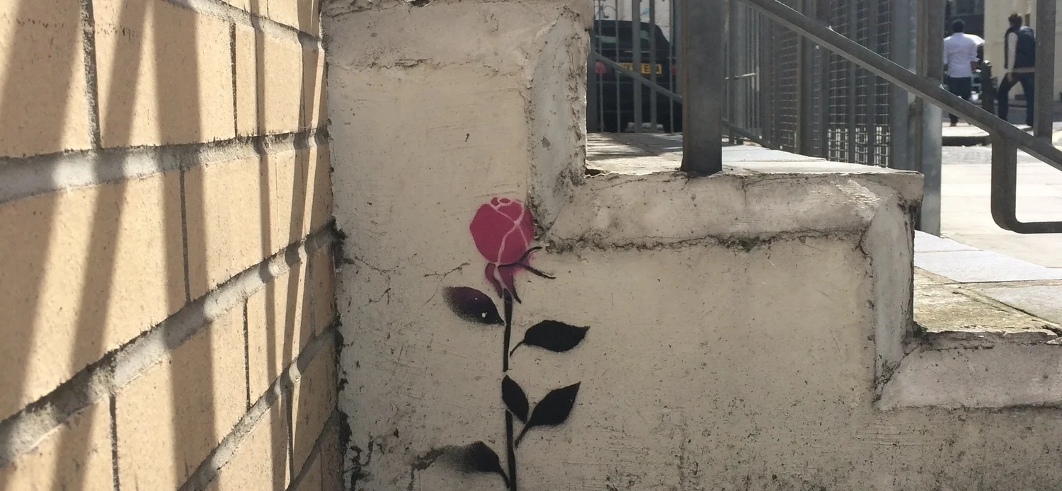 Creating Cultures of Innovation— A Perspective from the Heart