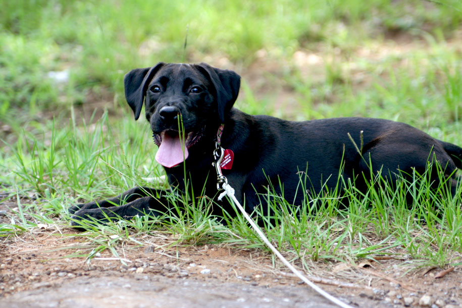 2010 Morgan for Blog 01.jpg