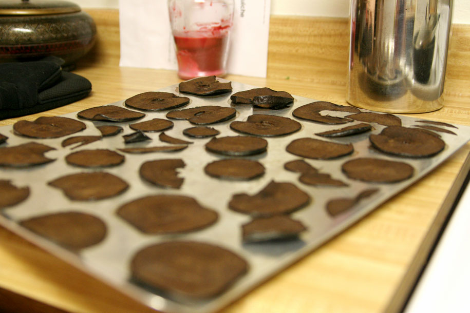 2010 Apple Chip Disaster 01.jpg
