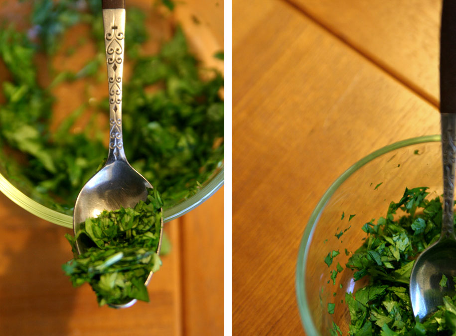 2010 - Cilantro for blog 02.jpg