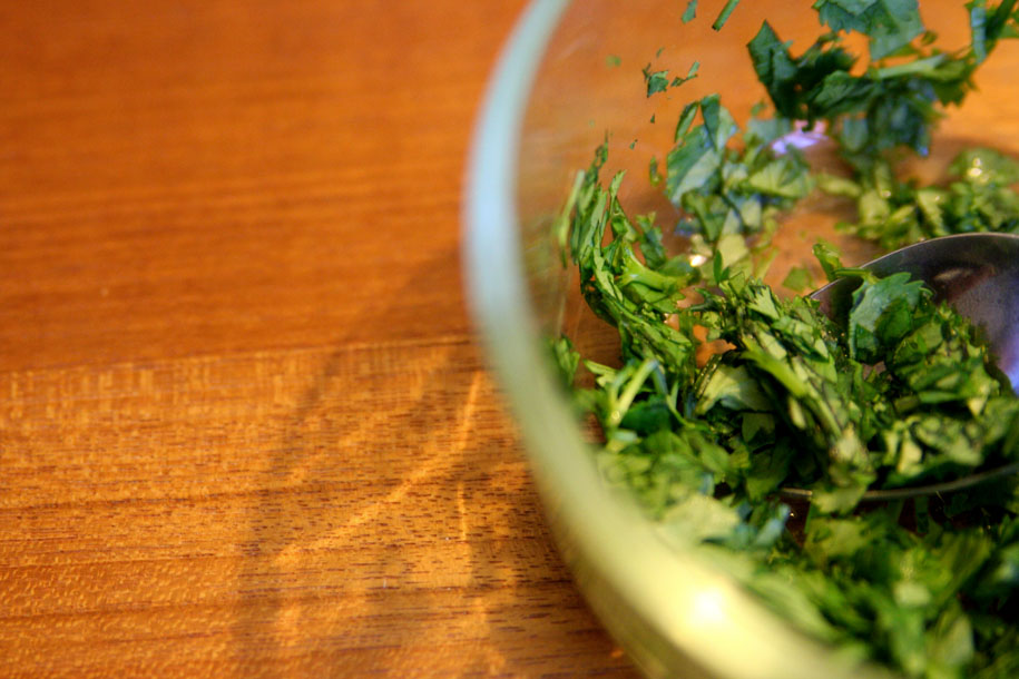 2010 - Cilantro for blog 04.jpg