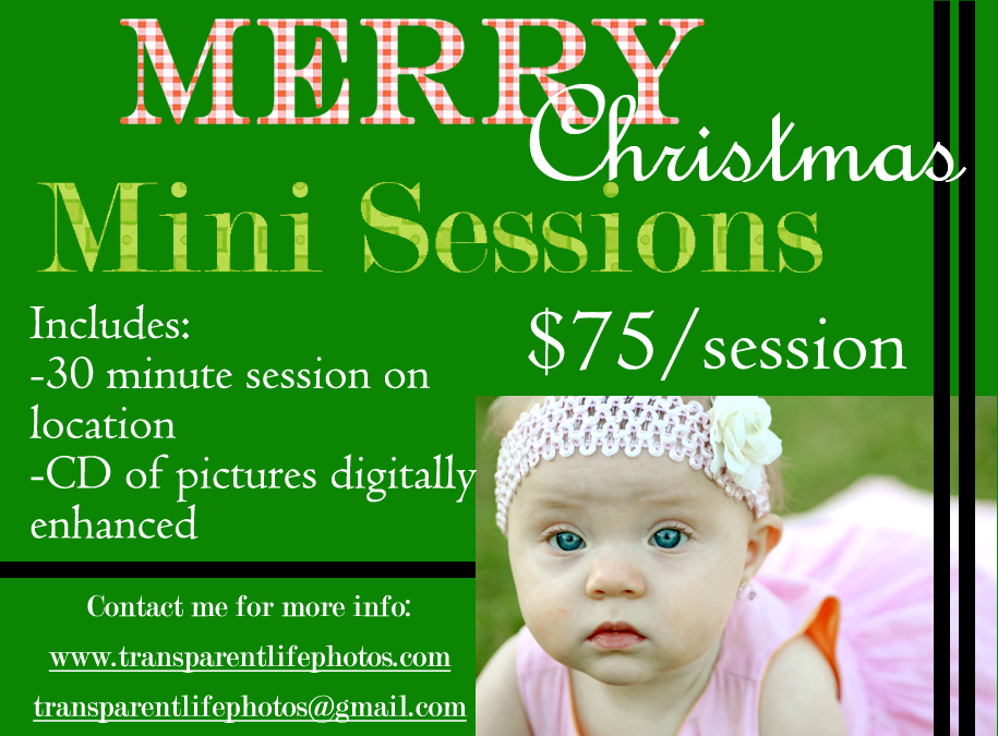 2010 Christmas Promo.jpg