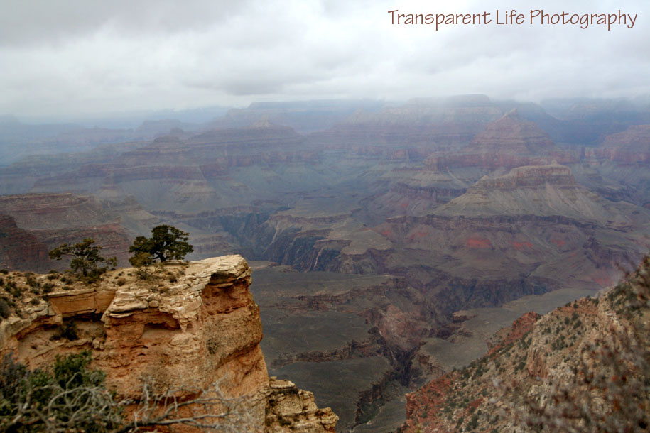 2010 Grand Canyon Trip for facebook 009.jpg