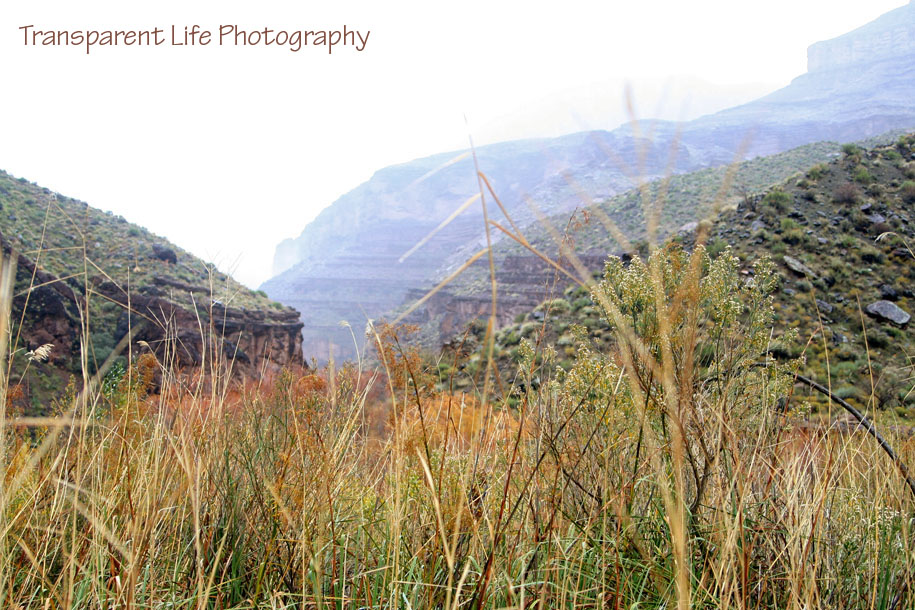 2010 Grand Canyon Trip for facebook 032.jpg