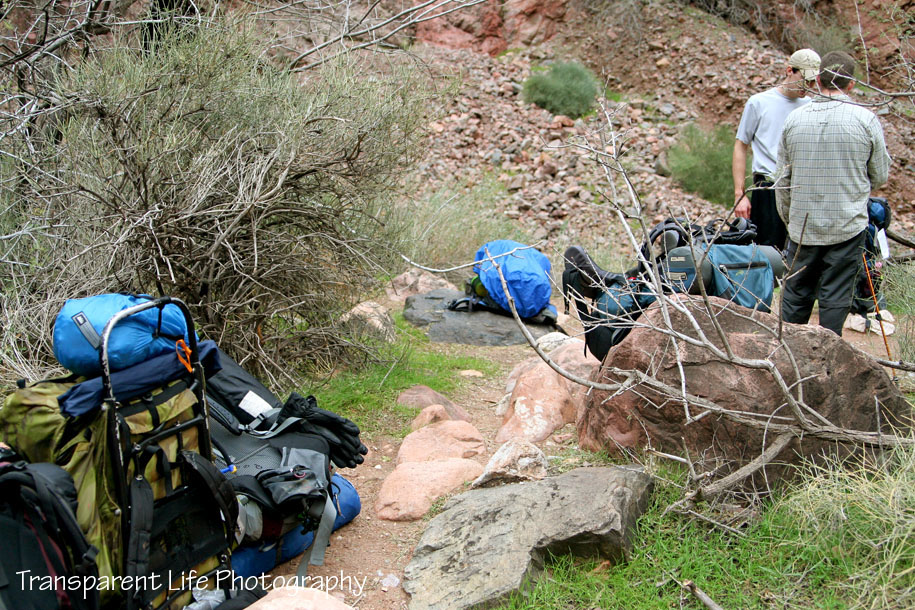 2010 Grand Canyon Trip for facebook 049.jpg