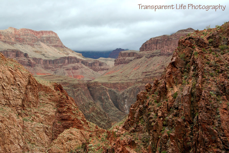 2010 Grand Canyon Trip for facebook 054.jpg