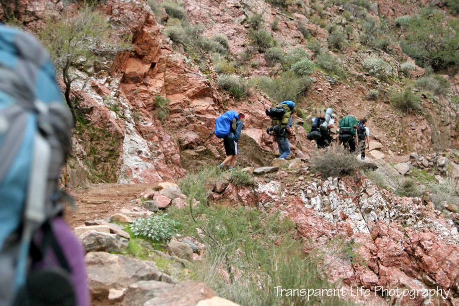 2010 Grand Canyon Trip for facebook 060.jpg