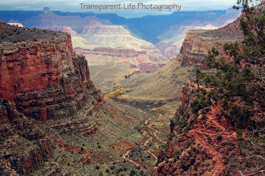 2010 Grand Canyon Trip for facebook 084.jpg