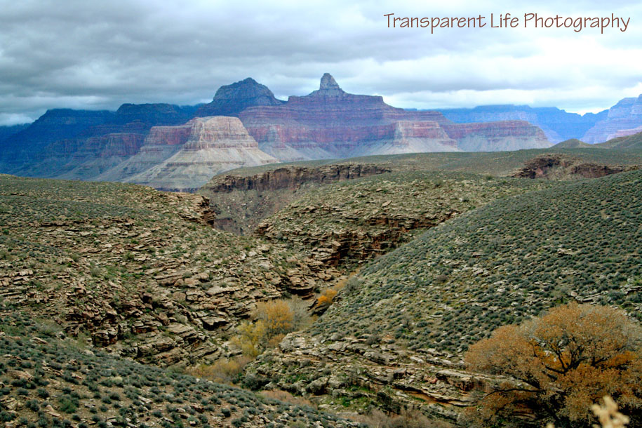2010 Grand Canyon Trip for facebook 073.jpg