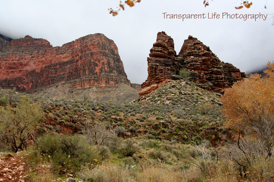 2010 Grand Canyon Trip for facebook 068.jpg