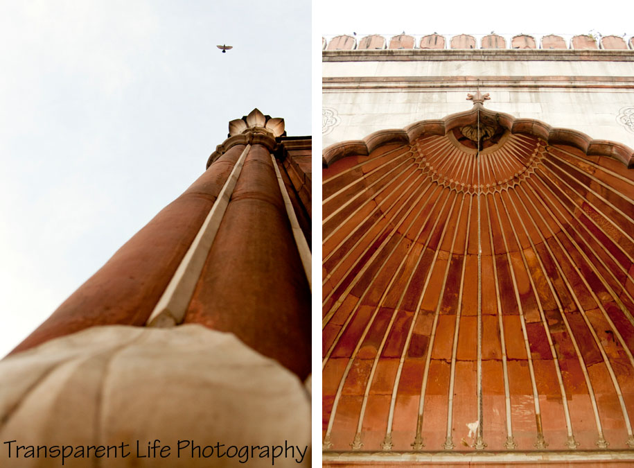 2011 - India for blog 10.jpg