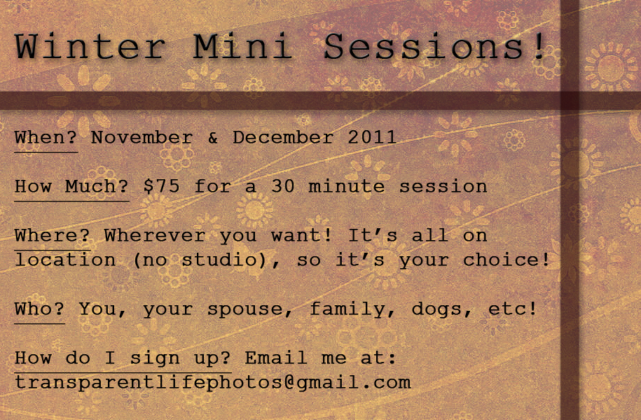 Winter Minis - Nov&Dec.jpg