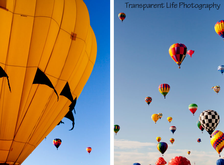 10 - 2011 Albuquerque Balloon Festival.jpg