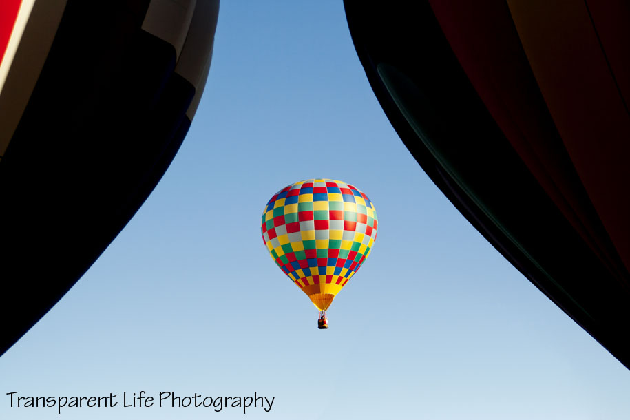 08 - 2011 Albuquerque Balloon Festival.jpg