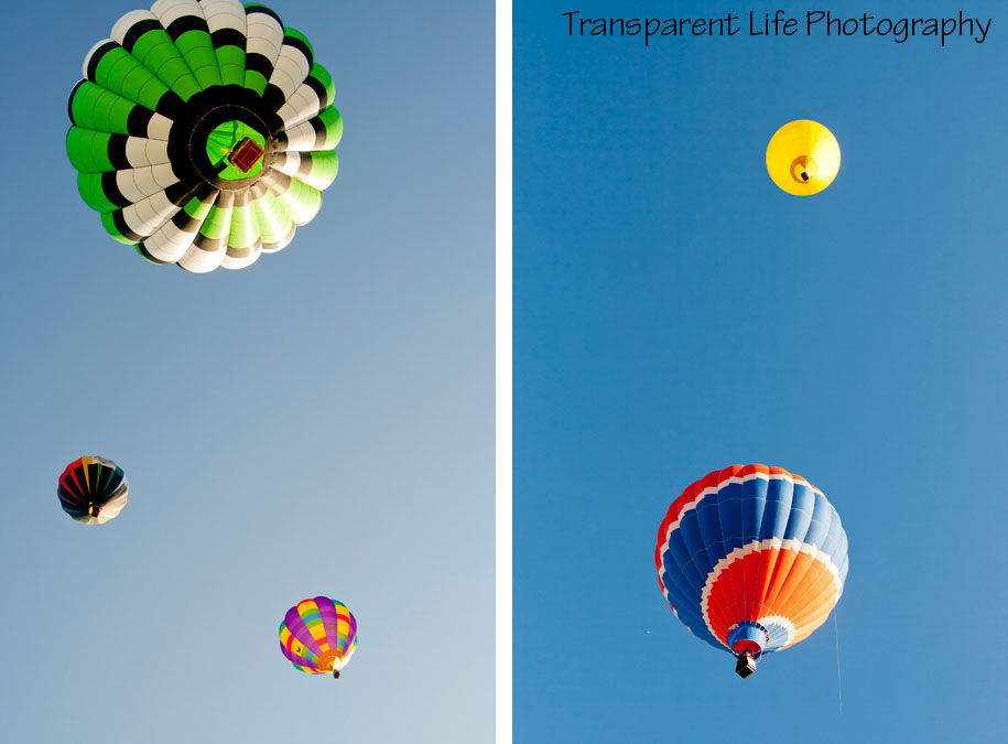 09 - 2011 Albuquerque Balloon Festival.jpg