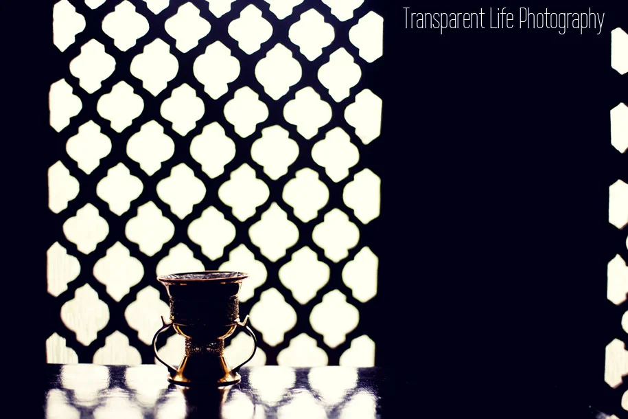 Canon 5D Mark II - Canon 50mm f/1.4 f/1.4 - 1/1000 - ISO 400