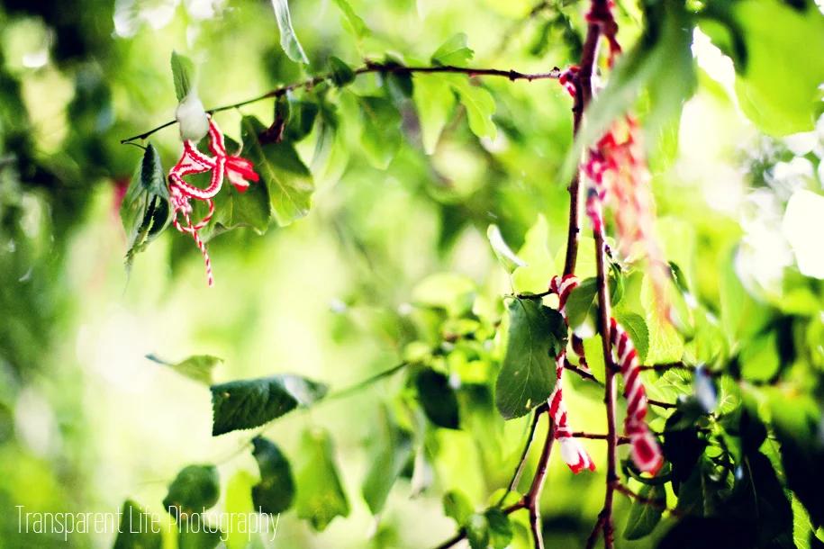 2014.08.17-photoaday.jpg
