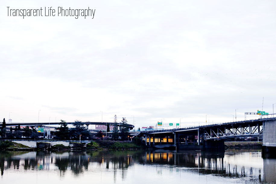 Canon 5D Mark II; 50mm f/1.4| f/3.5, 1/100 sec, ISO-800 | Portland, OR, USA