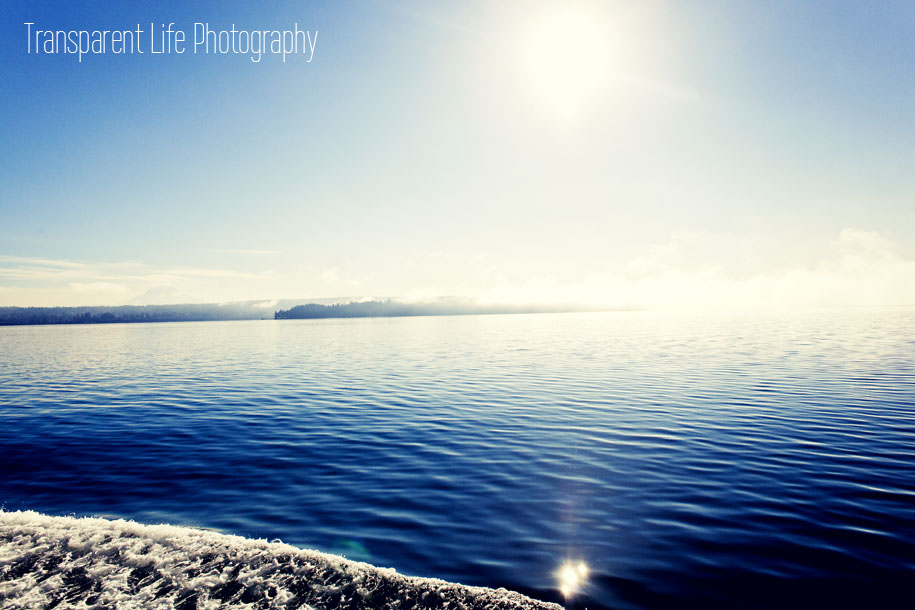 Canon 5D Mark II; 24mm f/2.8 | f/7.1, f/5000 sec, ISO-320 | Anderson Island, WA USA