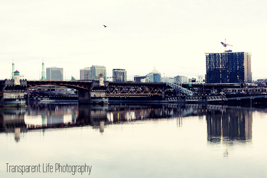 Canon 5D Mark II, 50mm f/1.4 | f/2.2, 1/320 sec, ISO-500 | Portland, OR, USA