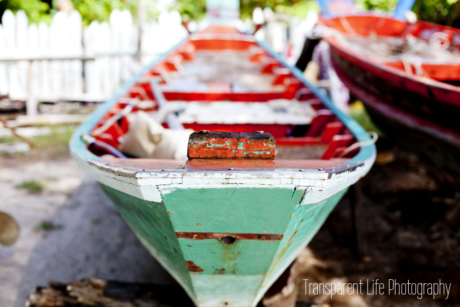 Canon 5D Mark II; 50mm f/1.4 | f/3.2, 1/200 sec, ISO-100