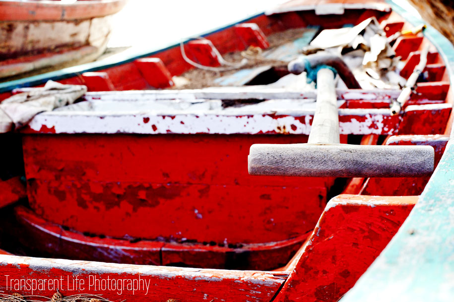 Canon 5D Mark II; 50mm f/1.4 | f/10, 1/160 sec, ISO-500