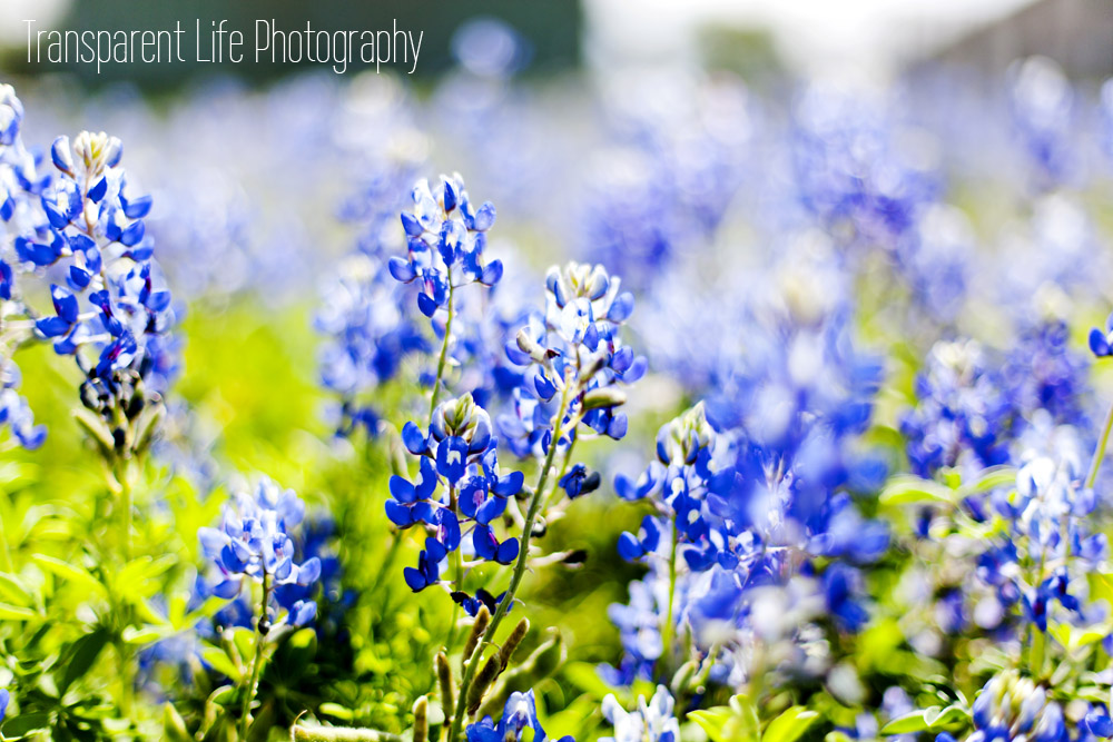 Somewhere in Texas :) | 2013