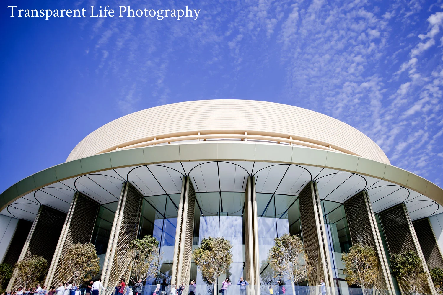 2018.10.09 - Architecture - Look Up.jpg