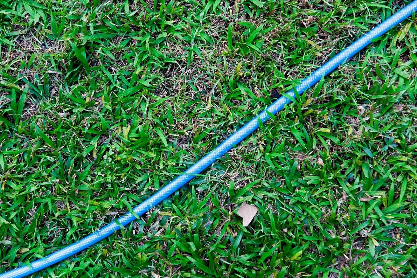 The other day while out with my kids taking photos, I saw the water hose snaking around the grounds and thought, &quot;hm. What would that look like if it were in a frame?&quot; It then led to me capturing many pictures of different lines around the 