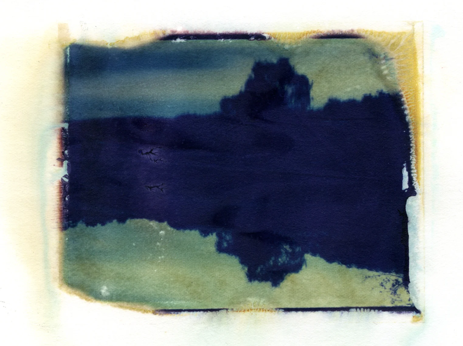One Tree Becomes Two,  Polaroid Transfer