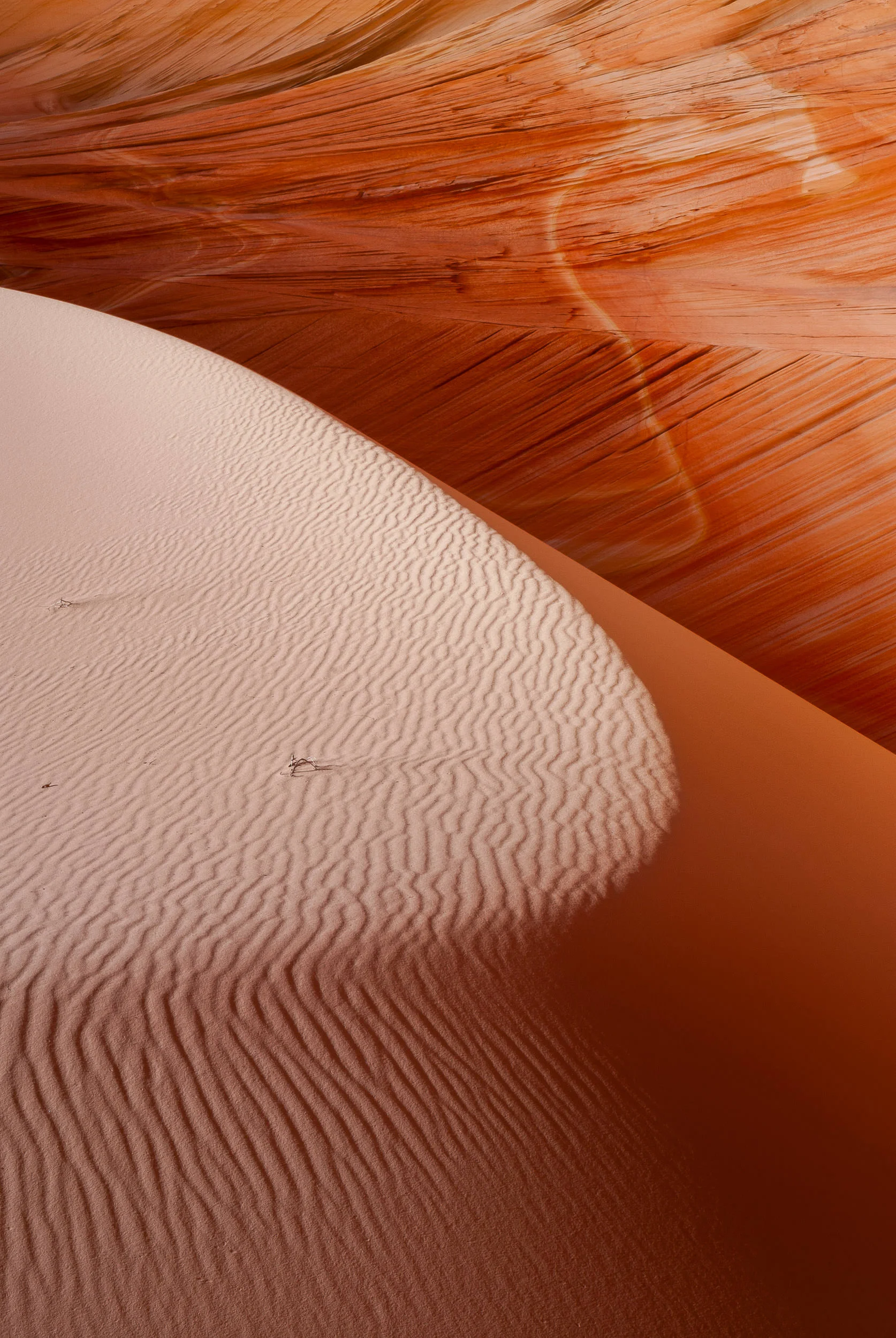 BenParkerPhotography00120070129.jpg
