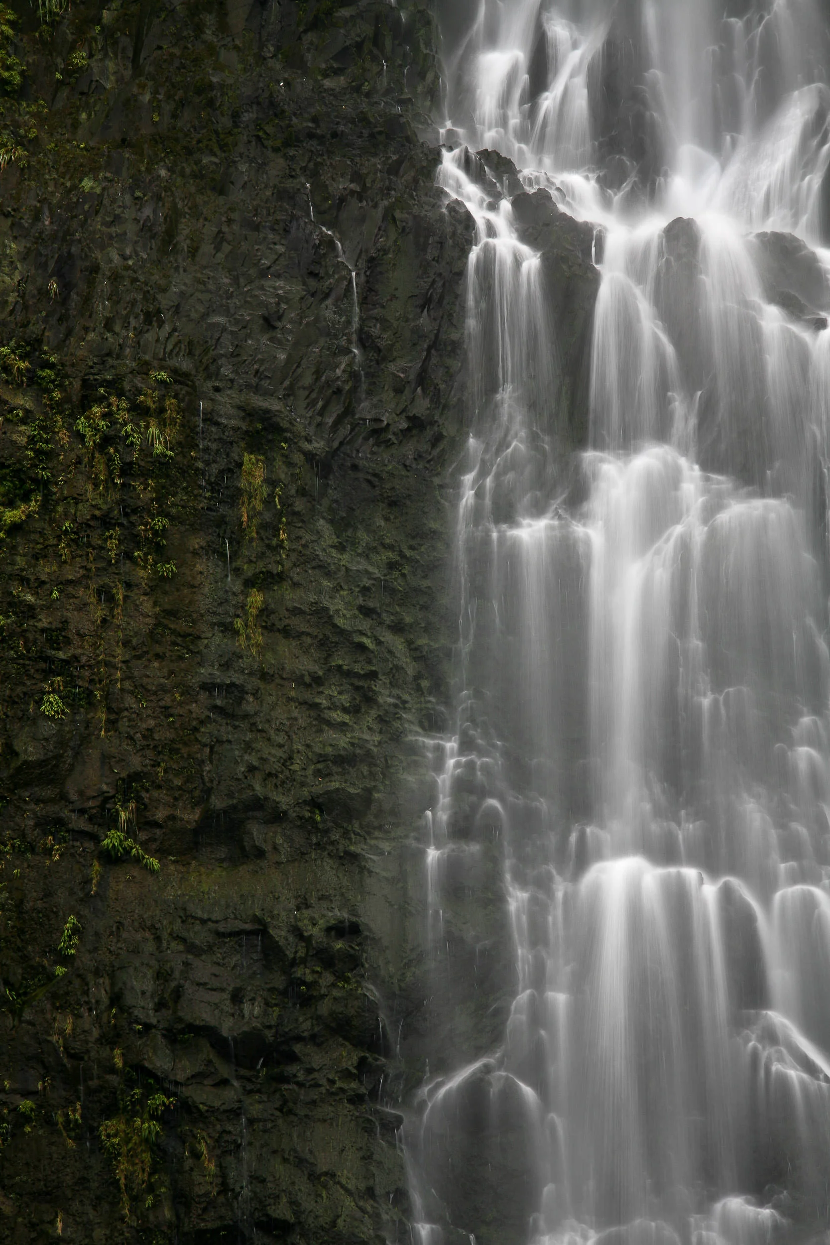 BenParkerPhotography00120110804-2.jpg