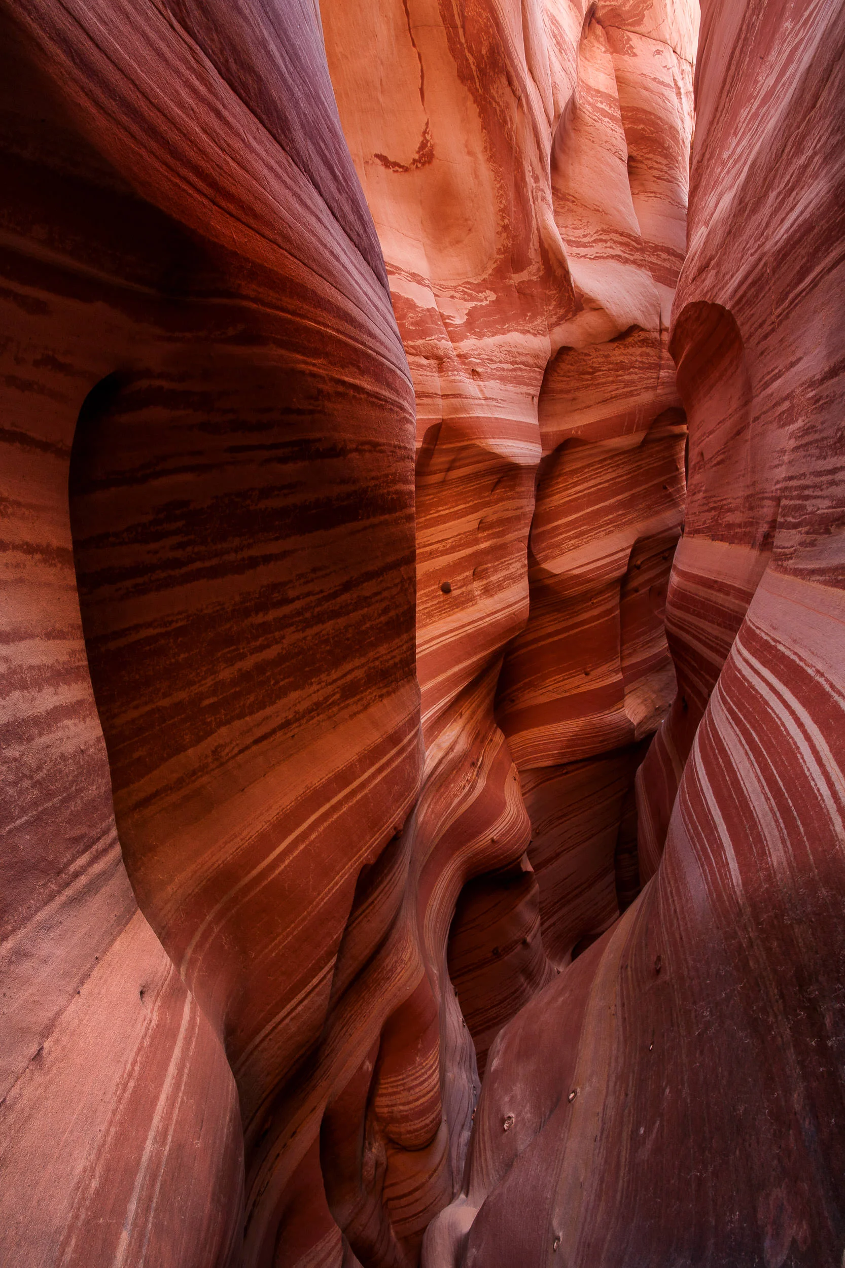 BenParkerPhotography00120111009-2.jpg