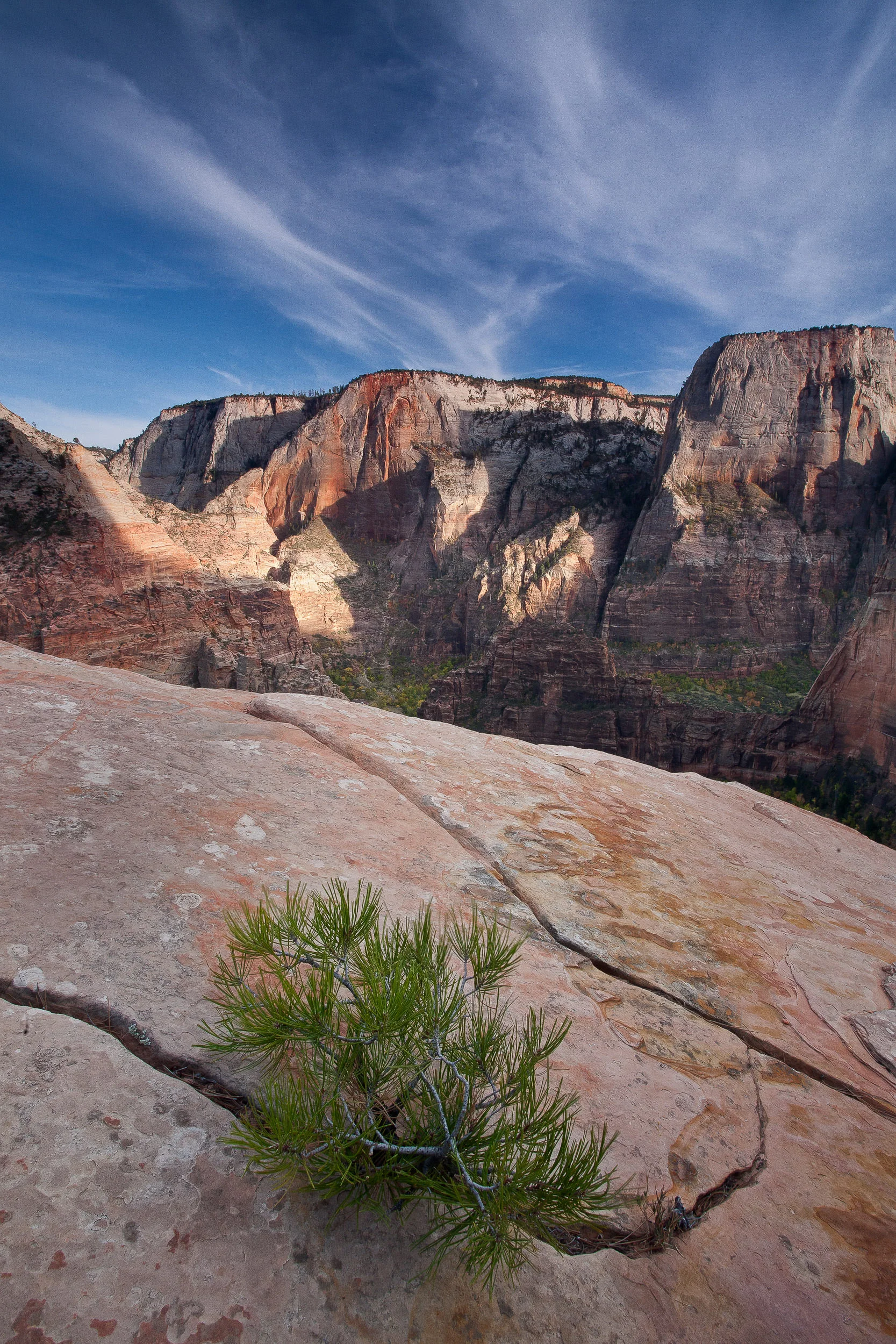 BenParkerPhotography00120111103.jpg
