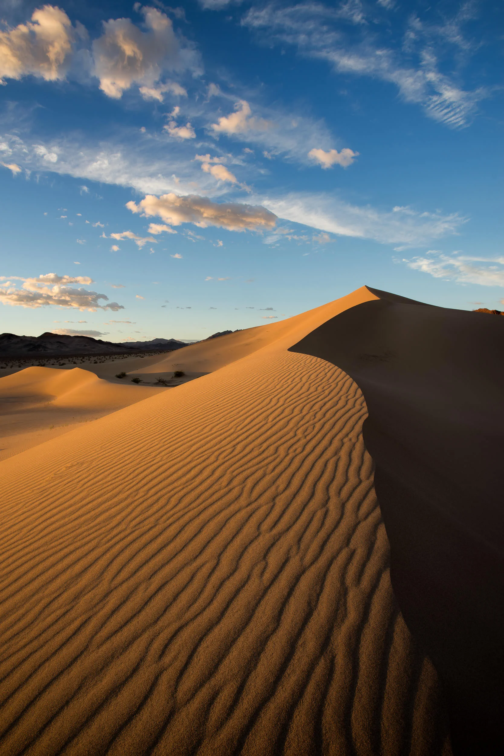 BenParkerPhotography00120141101 2.jpg