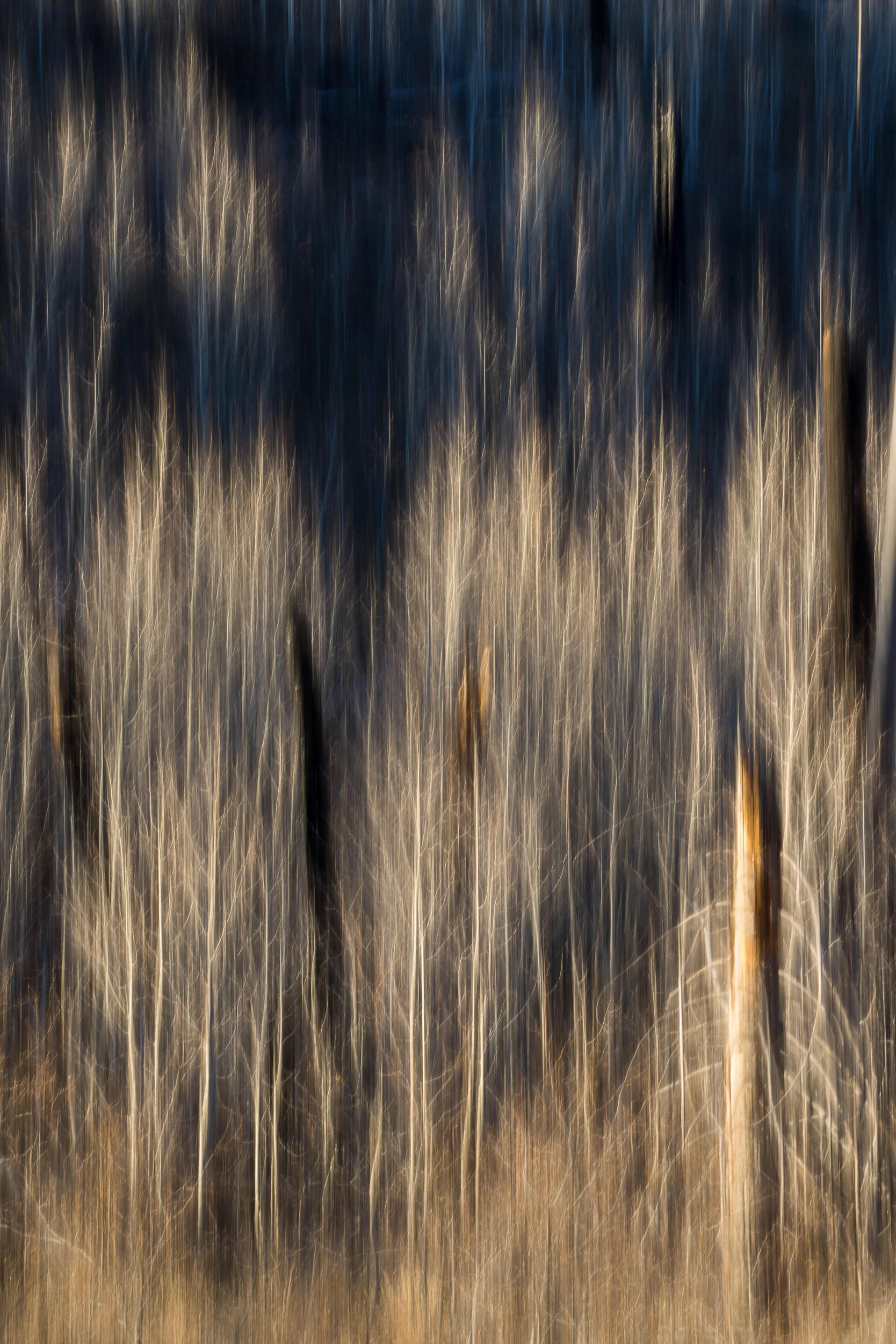 BenParkerPhotography00120141108.jpg