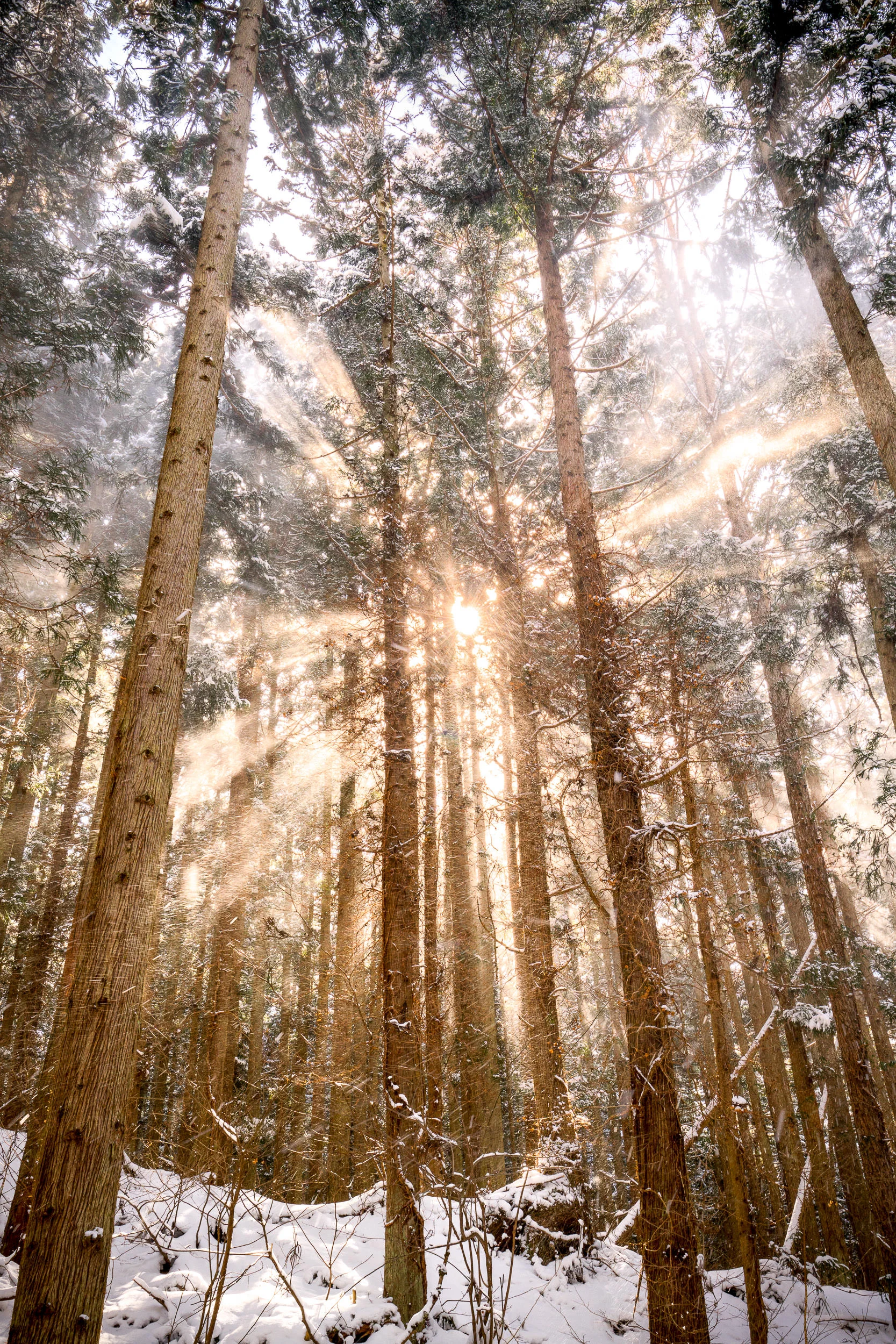 BenParkerPhotography00120160229.jpg