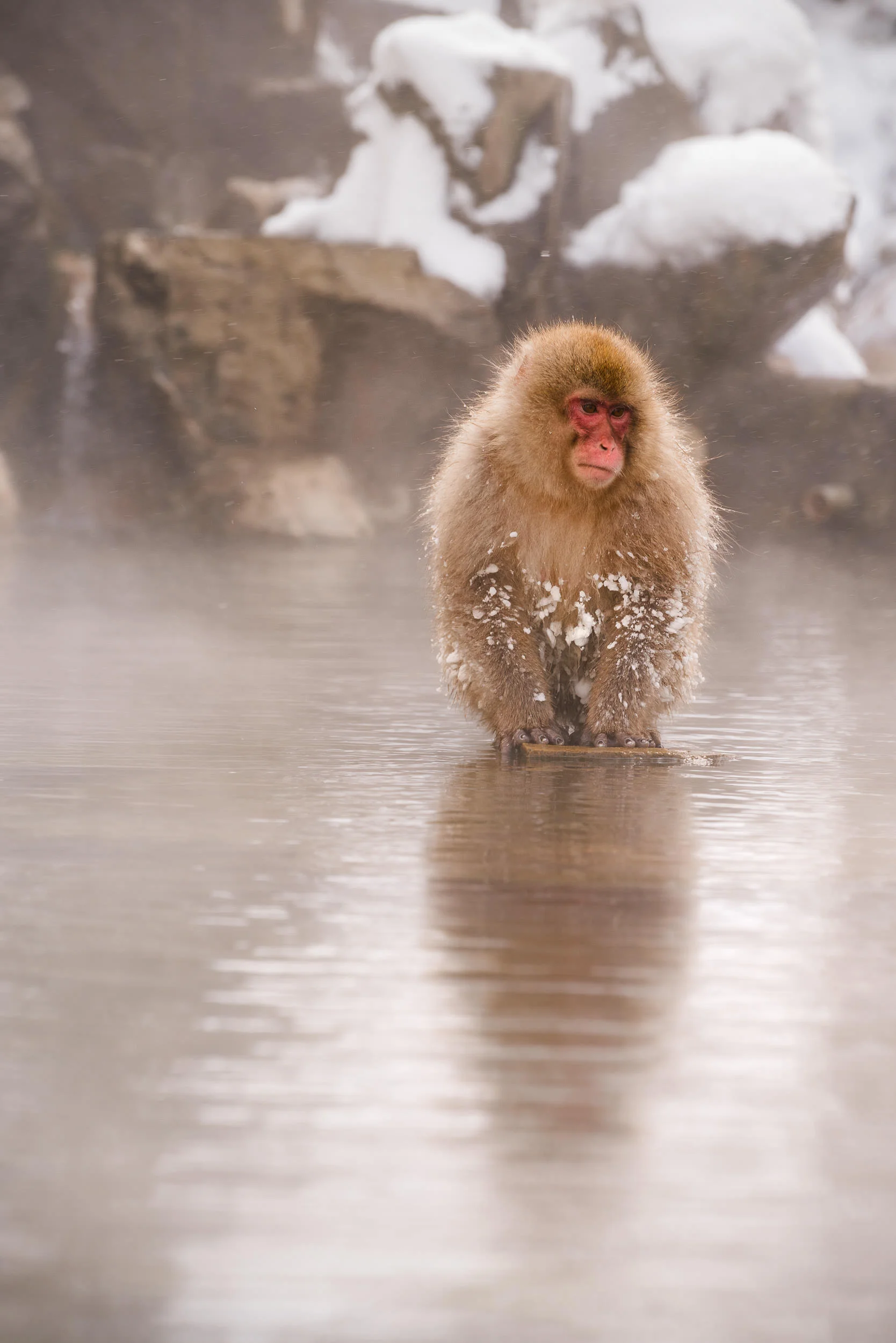 BenParkerPhotography00120160229-3.jpg
