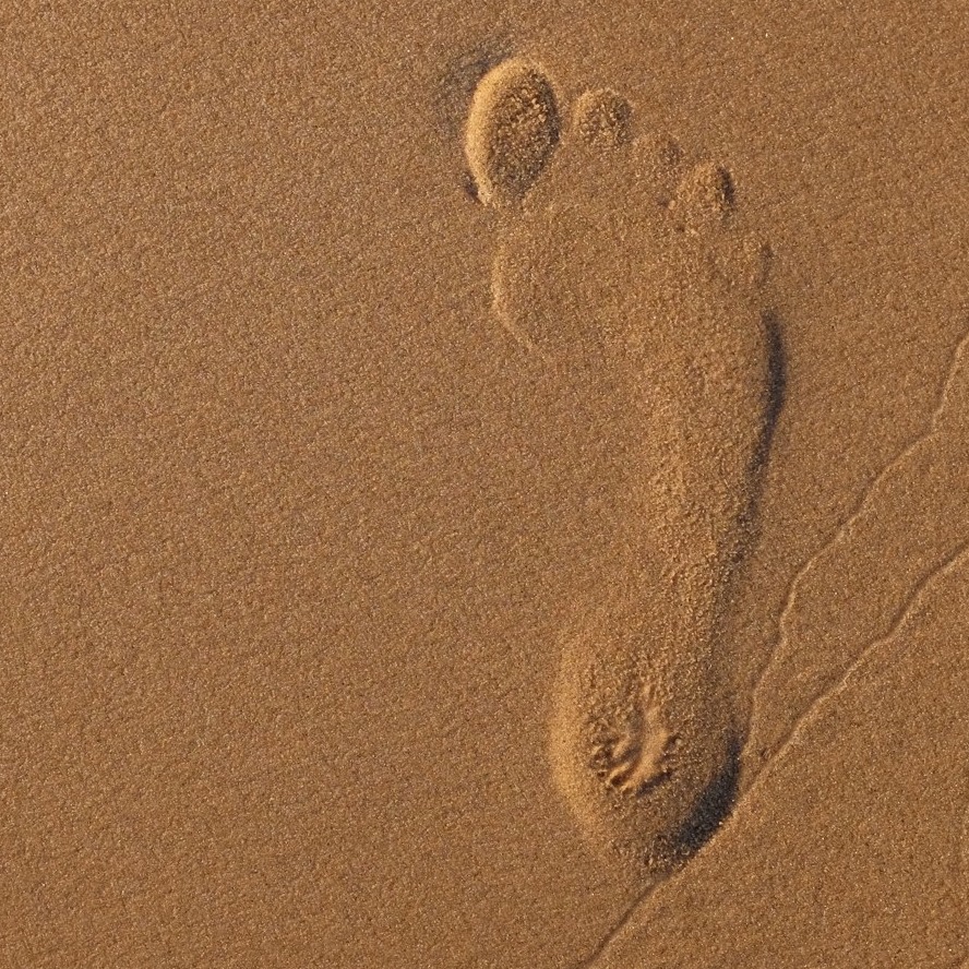 your essence meaning