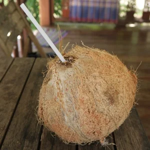 Two Weeks Fasting in Thailand
