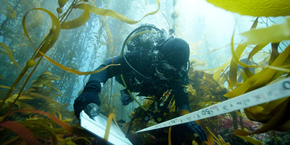 Roger Horrocks 05 Wildlife Cameraman National Geographic.jpg